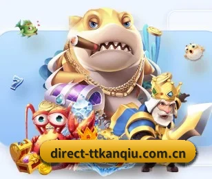 天天看球的故事